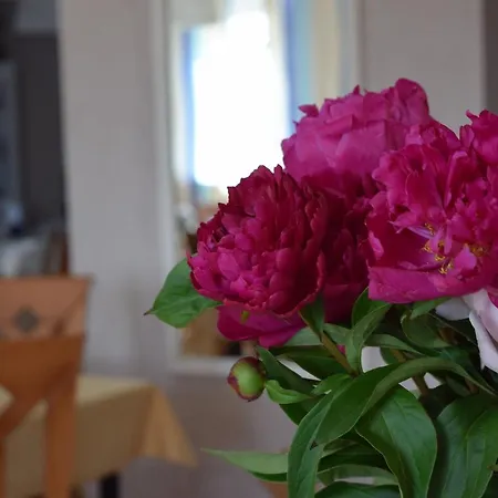 Kalmar 3* דארלובקו